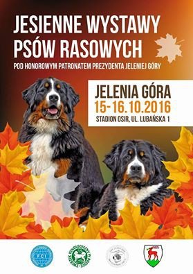 dwie-jesienne-wystawy-psow-rasowych-65476