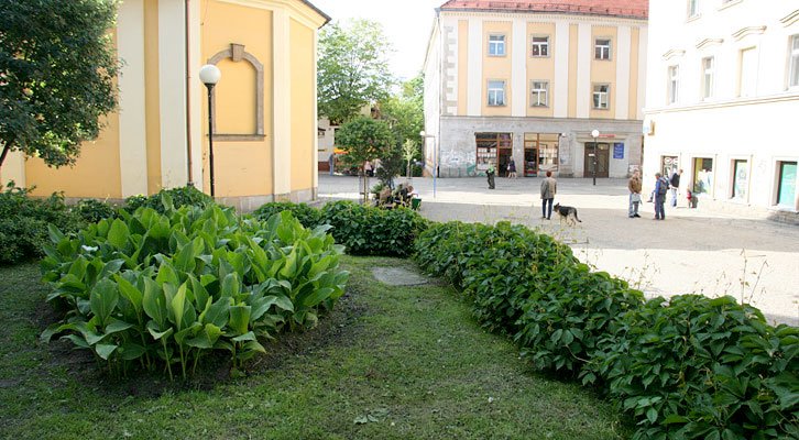 przestepstwa-na-zielono-6568
