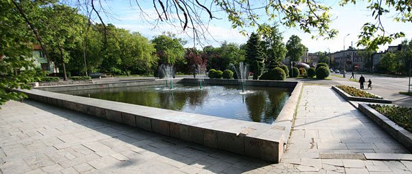 przestepstwa-na-zielono-6568