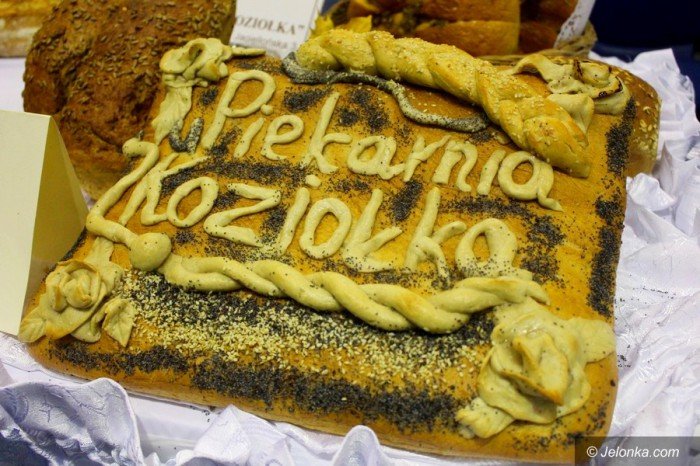 nie-tylko-modzi-szukali-pracy-na-targach-foto-65714