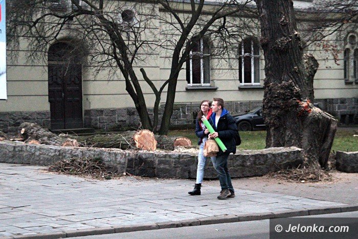 czytelnicy-komu-przeszkadzay-drzewa-przy-teatrze-foto-66140
