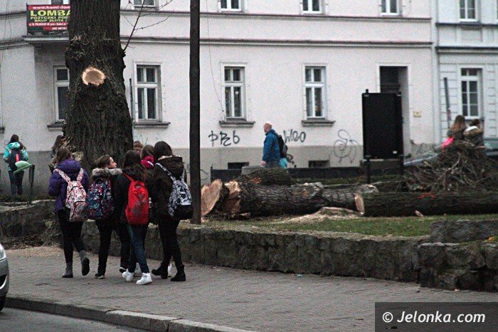 czytelnicy-komu-przeszkadzay-drzewa-przy-teatrze-foto-66140