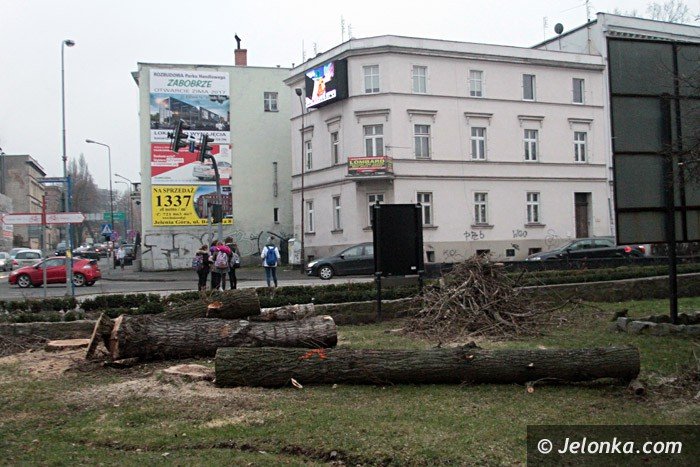 czytelnicy-komu-przeszkadzay-drzewa-przy-teatrze-foto-66140