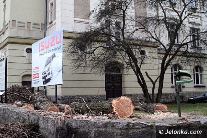 czytelnicy-komu-przeszkadzay-drzewa-przy-teatrze-foto-66140