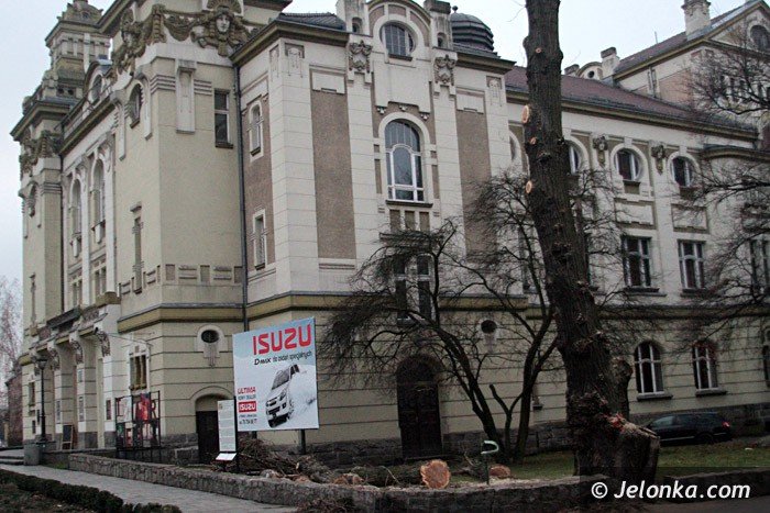 czytelnicy-komu-przeszkadzay-drzewa-przy-teatrze-foto-66140