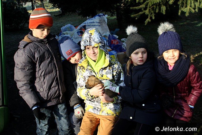 cenne-podarki-dla-zwierzakow-ze-schroniska-foto-66298