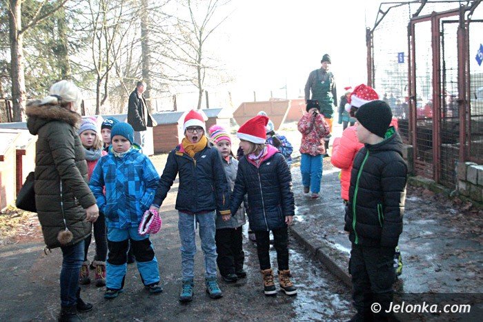 cenne-podarki-dla-zwierzakow-ze-schroniska-foto-66298