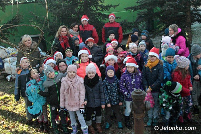 cenne-podarki-dla-zwierzakow-ze-schroniska-foto-66298