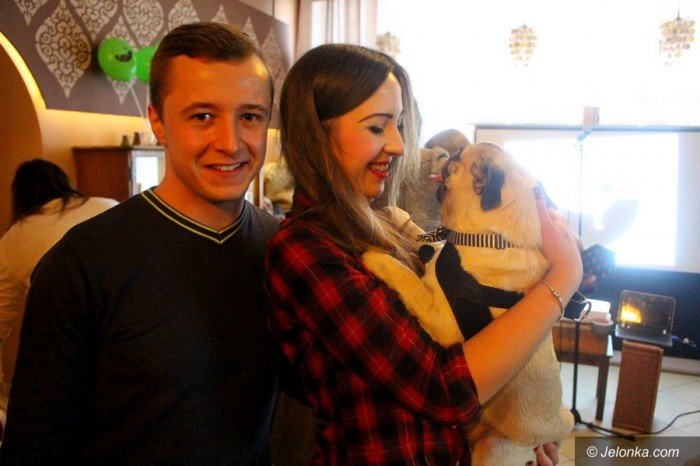 w-jeleniej-gorze-kochaja-mopsy-foto-66309