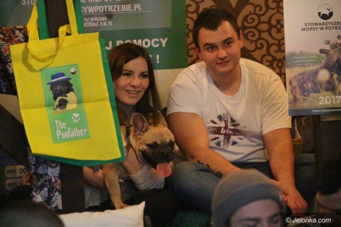 w-jeleniej-gorze-kochaja-mopsy-foto-66309