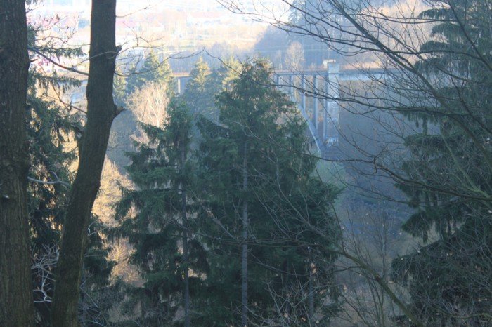 czytelniczka-wyrozniona-w-konkursie-jelonkicom-foto-66340