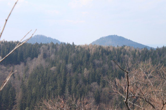 czytelniczka-wyrozniona-w-konkursie-jelonkicom-foto-66340