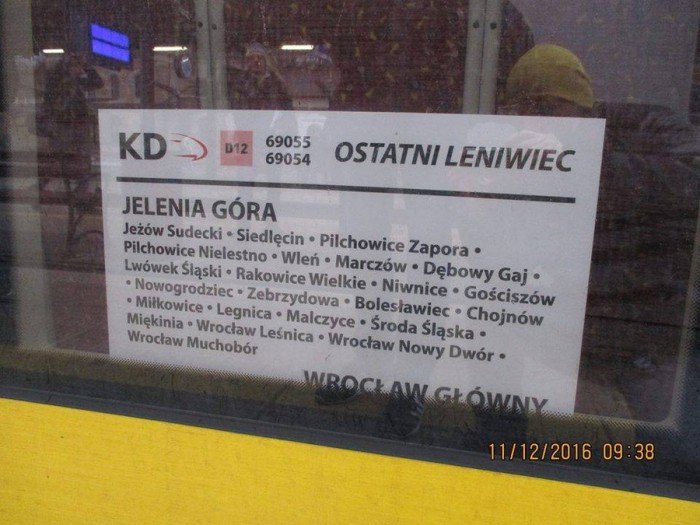 ostatni-leniwiec-odjecha-czy-wroci-foto-66440