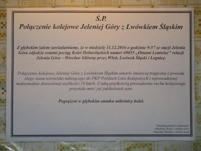 ostatni-leniwiec-odjecha-czy-wroci-foto-66440
