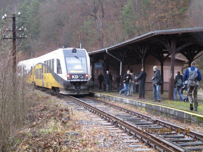 ostatni-leniwiec-odjecha-czy-wroci-foto-66440
