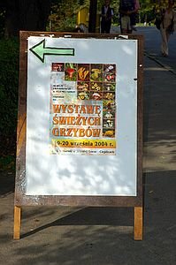 wystawa-swiezych-grzybow-6645