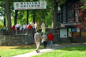 wystawa-swiezych-grzybow-6645