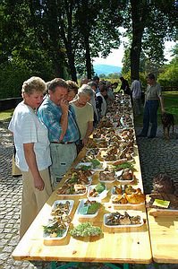 wystawa-swiezych-grzybow-6645