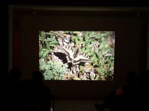 spotkanie-z-artysta-fotografem-romanem-rapaa-relacja-i-foto-6650