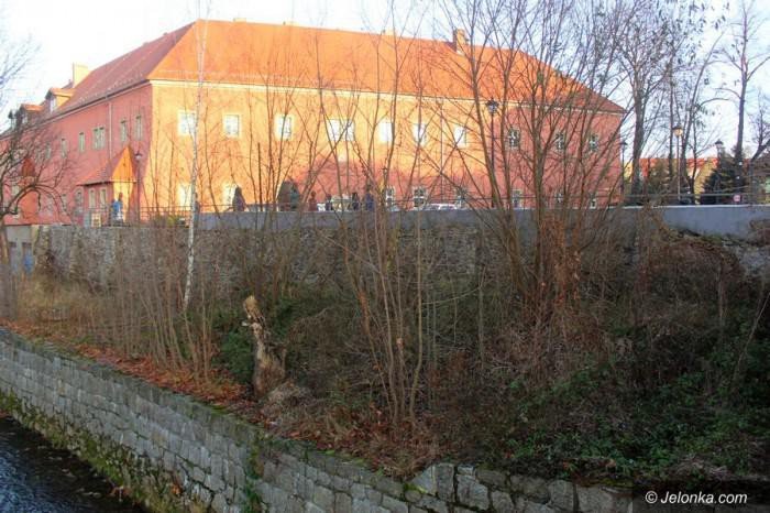 miasto-szuka-partnera-do-zmieniania-cieplic-foto-66533