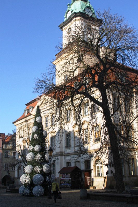 bozonarodzeniowe-zamieszanie-foto-66554