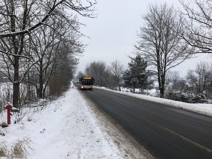 zima-mzk-niestraszna-foto-66778