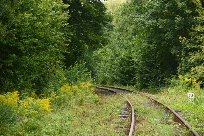 debata-o-pociagach-na-pogorzu-izerskim-foto-66853