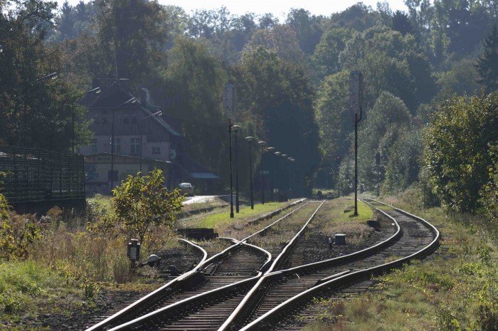 debata-o-pociagach-na-pogorzu-izerskim-foto-66853