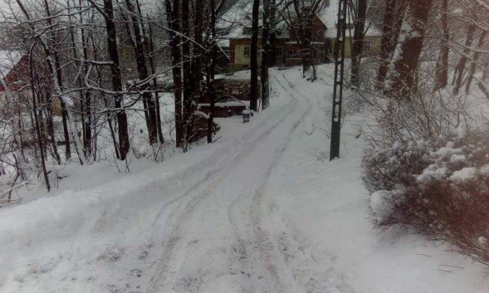 czytelnik-toniemy-w-sniegu-foto-66911