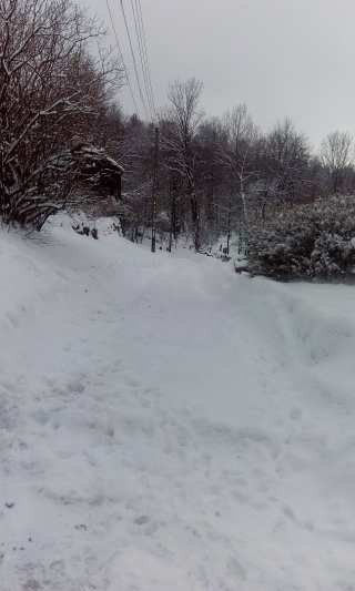czytelnik-toniemy-w-sniegu-foto-66911