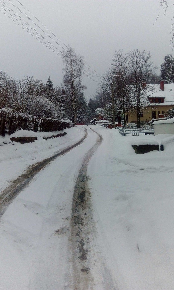 czytelnik-toniemy-w-sniegu-foto-66911