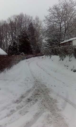 czytelnik-toniemy-w-sniegu-foto-66911