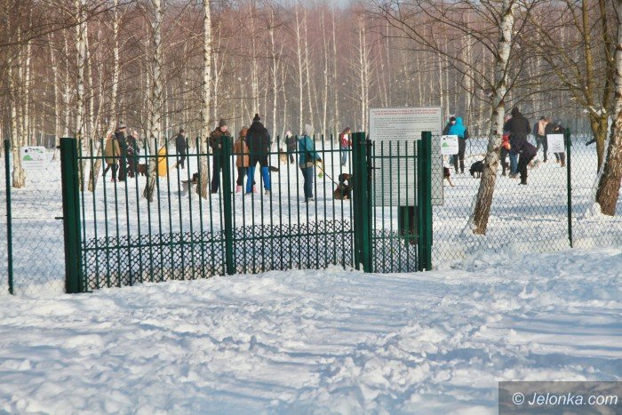 w-psim-parku-byo-darmowe-szkolenie-psow-foto-66980