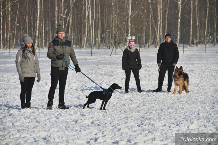 w-psim-parku-byo-darmowe-szkolenie-psow-foto-66980