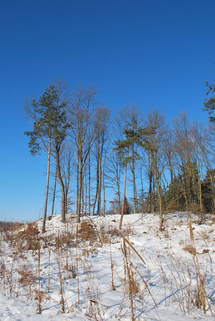 szansa-na-rozwoj-maciejowej-uda-sie-foto-67056