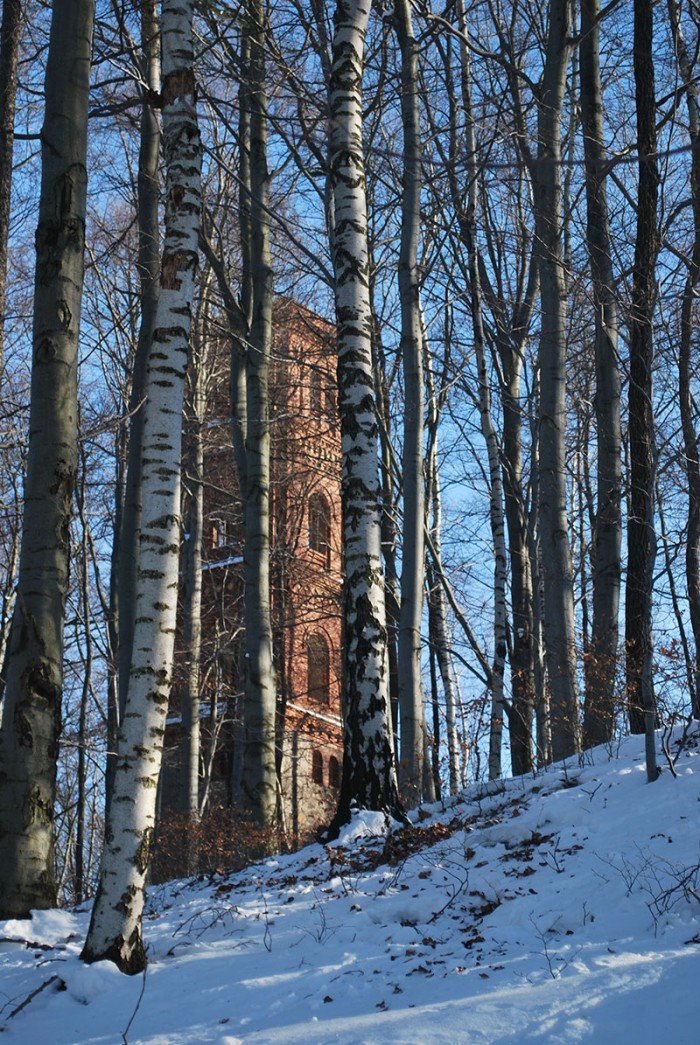 szansa-na-rozwoj-maciejowej-uda-sie-foto-67056