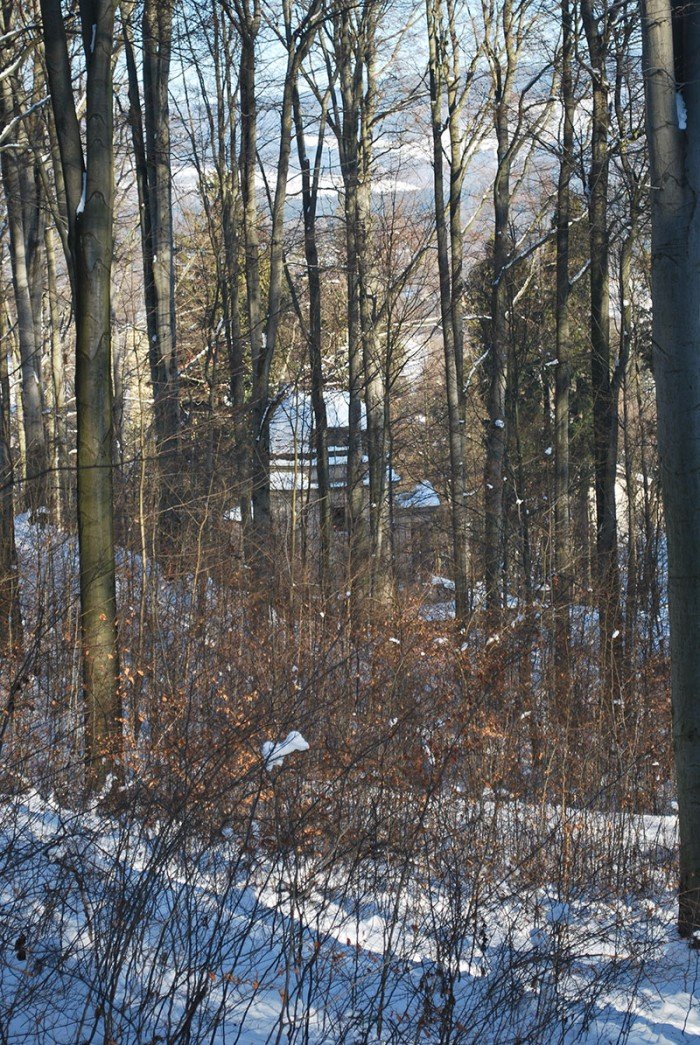 szansa-na-rozwoj-maciejowej-uda-sie-foto-67056