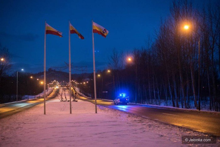 w-jeleniej-gorze-samochod-potraci-sarne-foto-67100