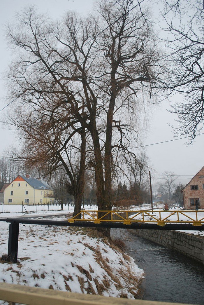 czy-w-maciejowej-boja-sie-wielkiej-wody-foto-67213