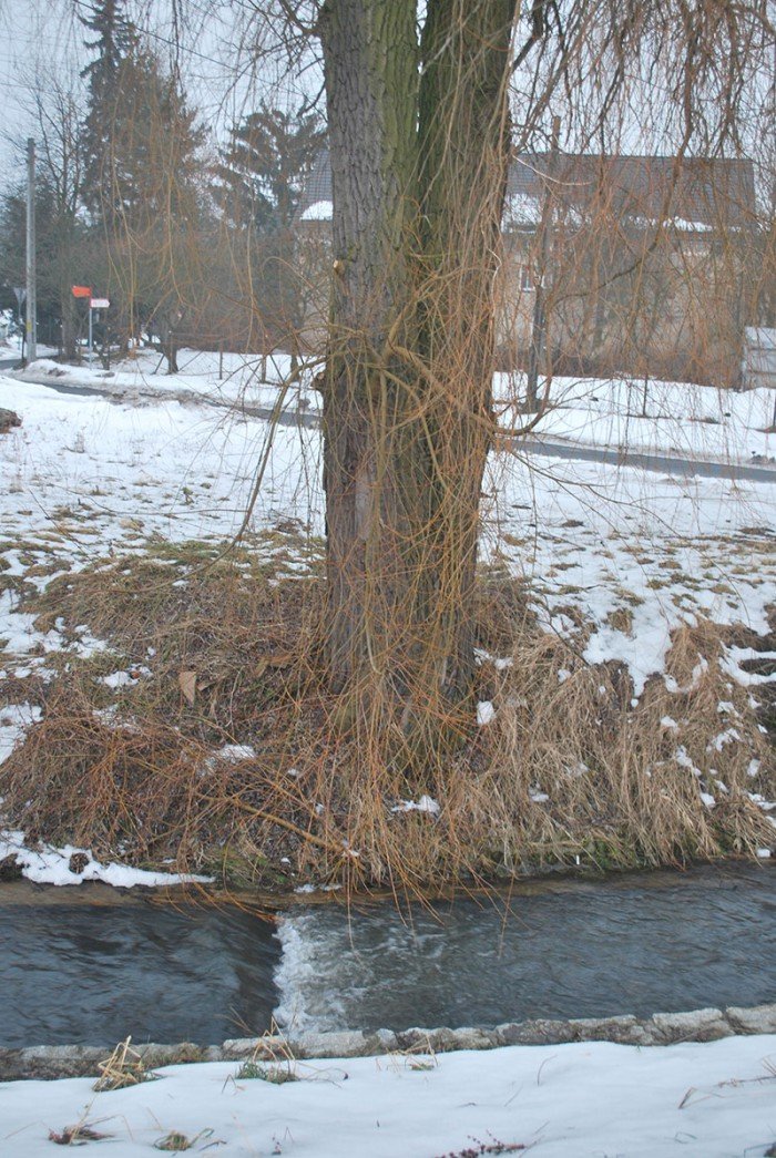 czy-w-maciejowej-boja-sie-wielkiej-wody-foto-67213