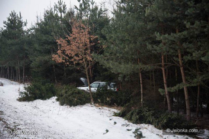 kolizja-na-sobieskiego-auto-w-rowie-foto-67233