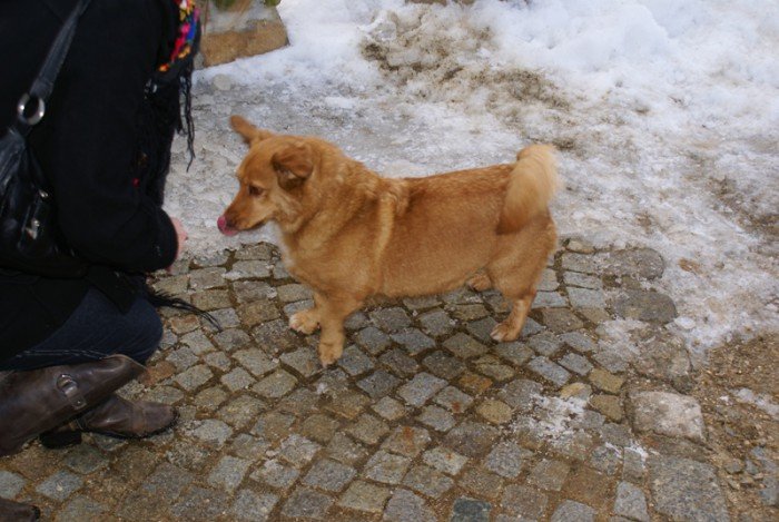 bercik-zamkowy-pupil-w-karpnikach-foto-67272