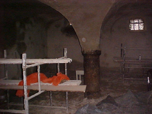 dom-z-dusza-przedstawia-jelonka-com-foto-67413
