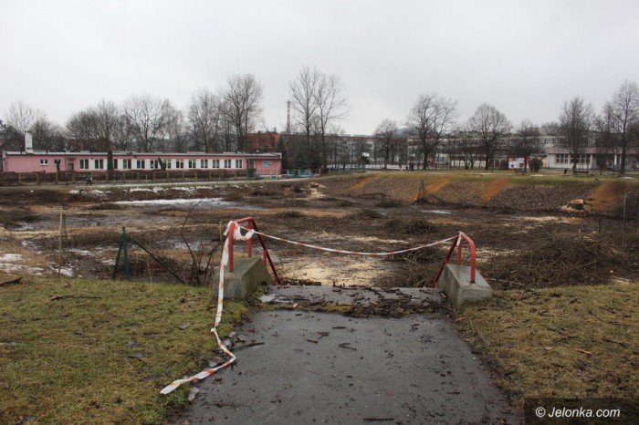 wielka-wycinka-w-zabobrzanskim-doku-foto-67440