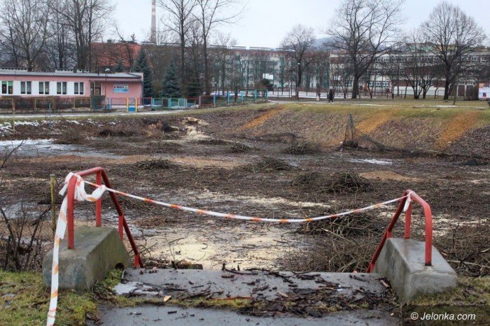 wielka-wycinka-w-zabobrzanskim-doku-foto-67440