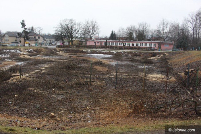 wielka-wycinka-w-zabobrzanskim-doku-foto-67440