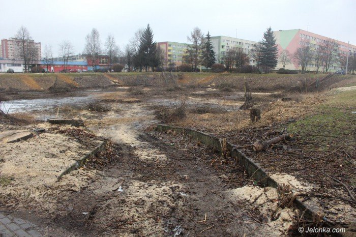 wielka-wycinka-w-zabobrzanskim-doku-foto-67440