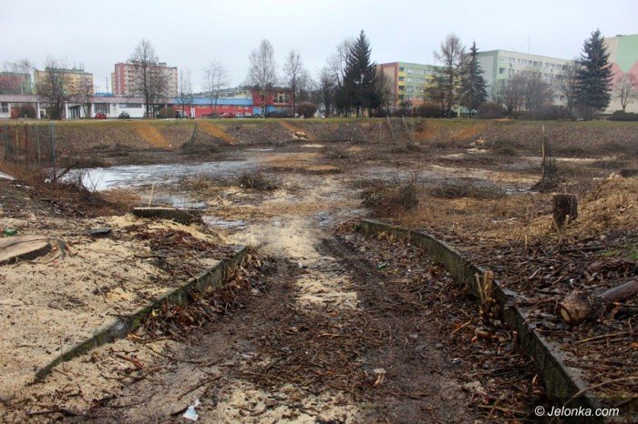 wielka-wycinka-w-zabobrzanskim-doku-foto-67440