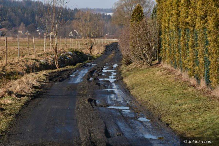 aroniowa-w-jezowie-jak-czogowisko-foto-67490