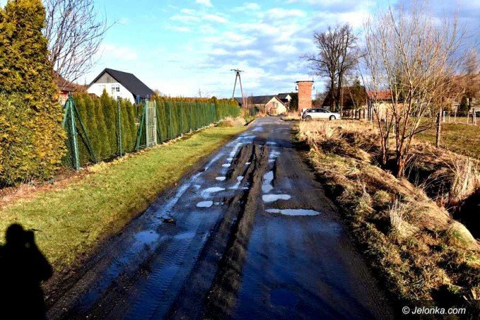 aroniowa-w-jezowie-jak-czogowisko-foto-67490